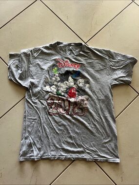 Disney Florida 2018 Grey Kids Graphic T-Shirt